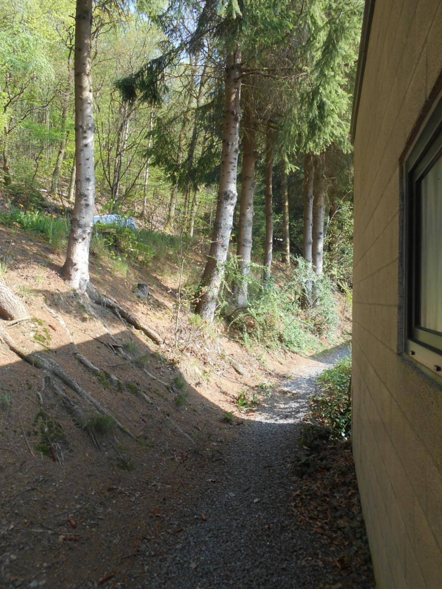 Le Vieux Sart 3